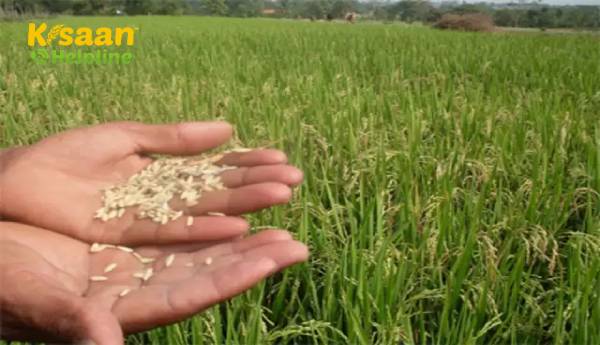 चीनी मिलें 15 अक्टूबर तक नई विंडो में इथेनॉल के प्रस्ताव प्रस्तुत कर सकती हैं: सरकार चीनी मिलें 15 अक्टूबर तक नई विंडो में इथेनॉल के प्रस्ताव प्रस्तुत कर सकती हैं: सरकार